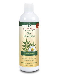 TheraNeem Gentle Therapy Shampoo 12 oz