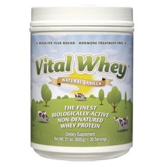 Wellwisdom Vital Whey Vanilla, 600gr