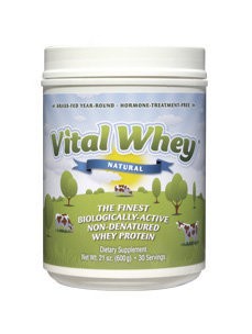 Wellwisdom Vital Whey Natural, 600gr