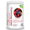 Alora Naturals Joint Recovery™ Natural Fruit Punch 350g