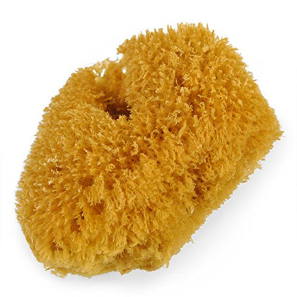 Urban Spa The All-Natural Sea Sponge 1 un