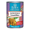 Sale Org Lentils withOnion & BayLeaf 398ml