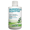 Land Art Chlorophyll Eucalyptus 500 ml