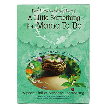 Earth Mama Little Something for Mama To Be 1 Gift box