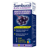 Sambucol Sambucol Anti-Viral Flu FAMILY230ml 230ml